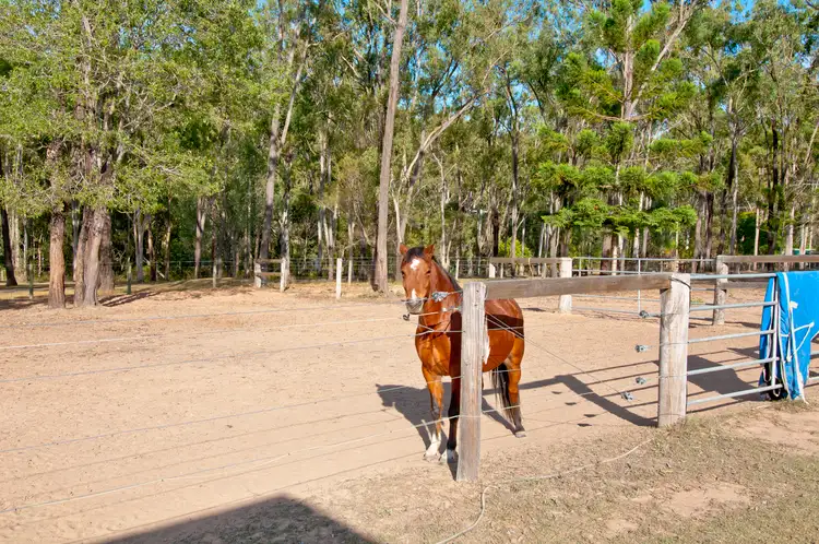 Sixth view of Homely house listing, 207 Amber Crescent, Jimboomba QLD 4280