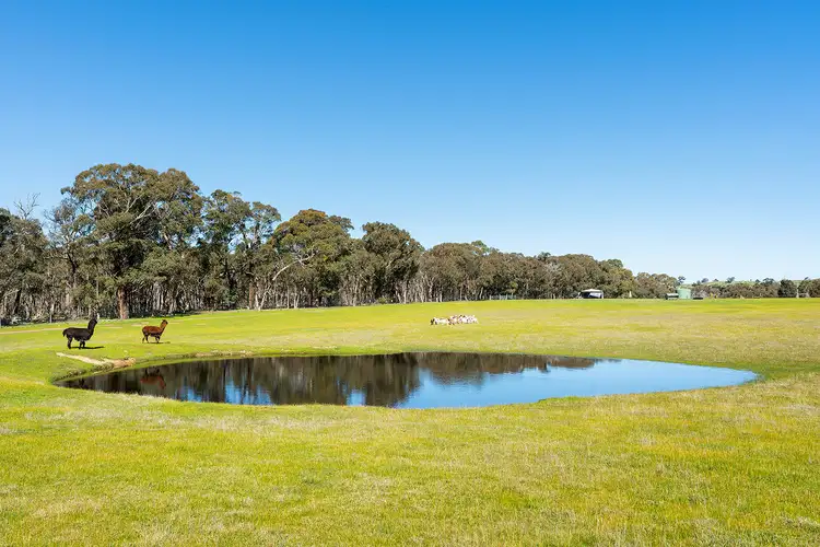 Second view of Homely land listing, 255 Pollards Road, Elphinstone VIC 3448