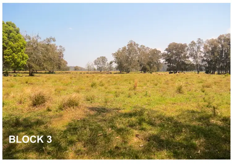Seventh view of Homely rural property listing, 1617 Manning Point Road, Mitchells Island Via, Old Bar NSW 2430
