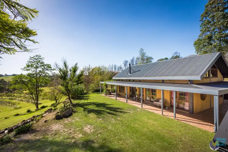 Third view of Homely rural property listing, 11171 Princes Highway, Cobargo NSW 2550