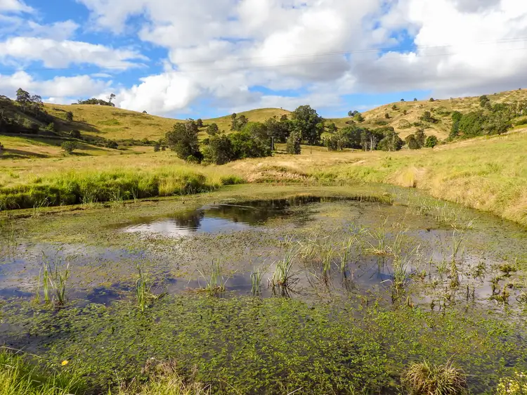 Second view of Homely rural property listing, 678 Bunyah Road, Coolongolook NSW 2423