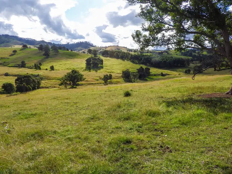 Third view of Homely rural property listing, 678 Bunyah Road, Coolongolook NSW 2423