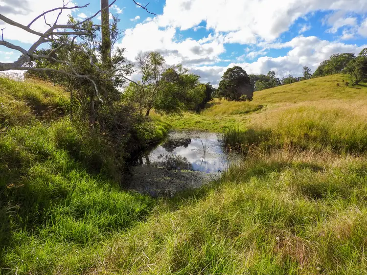 Fourth view of Homely rural property listing, 678 Bunyah Road, Coolongolook NSW 2423