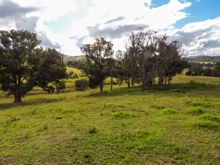 Seventh view of Homely rural property listing, 678 Bunyah Road, Coolongolook NSW 2423