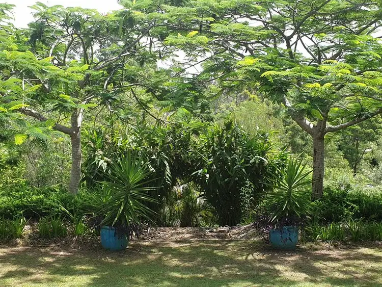 Third view of Homely house listing, 6 Nabberu St, Maudsland QLD 4210
