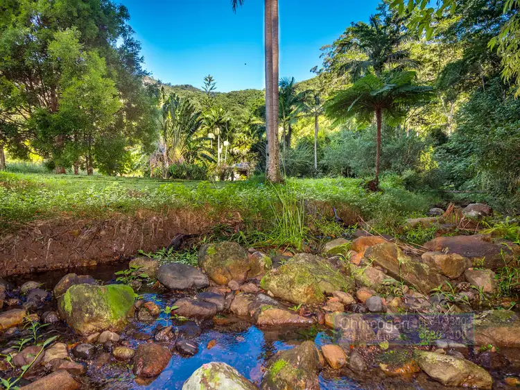 Fourth view of Homely rural property listing, 1436 Main Arm Rd, Upper Main Arm NSW 2482