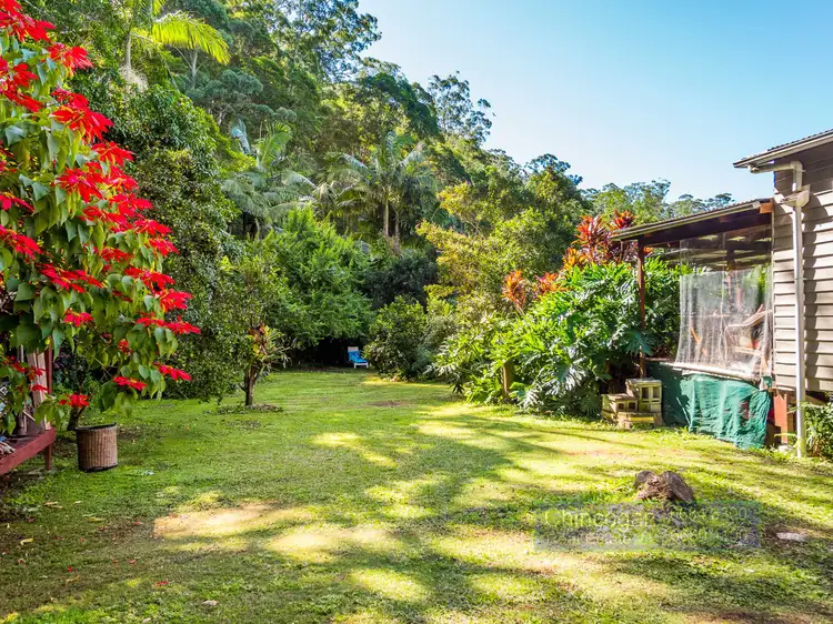Fifth view of Homely rural property listing, 1436 Main Arm Rd, Upper Main Arm NSW 2482