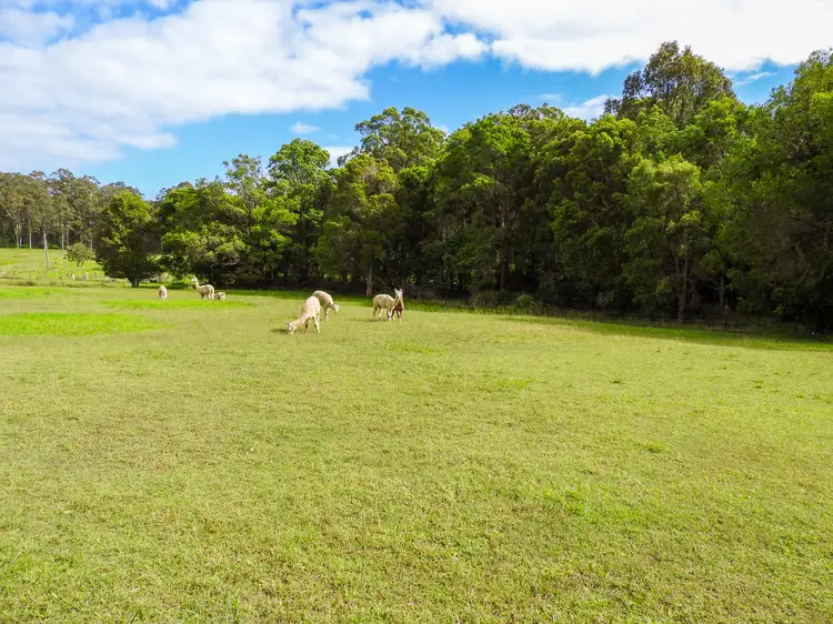 Second view of Homely rural property listing, 51 Denva Road, Taree NSW 2430
