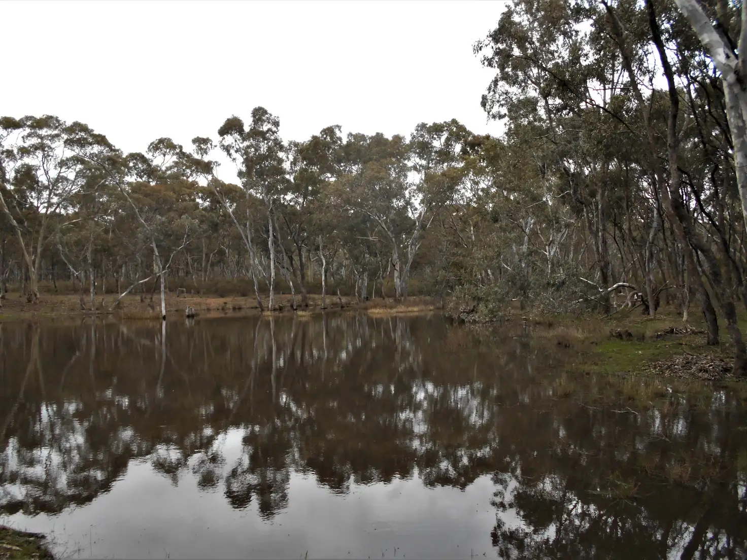 Main view of Homely land listing, 55 Cemetery Road, Clunes VIC 3370