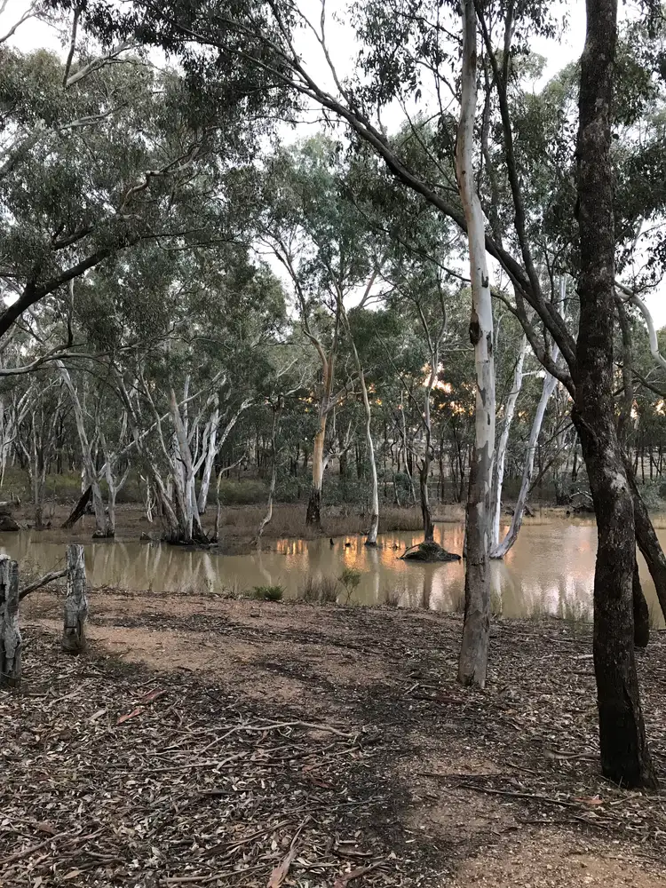 Sixth view of Homely land listing, 55 Cemetery Road, Clunes VIC 3370