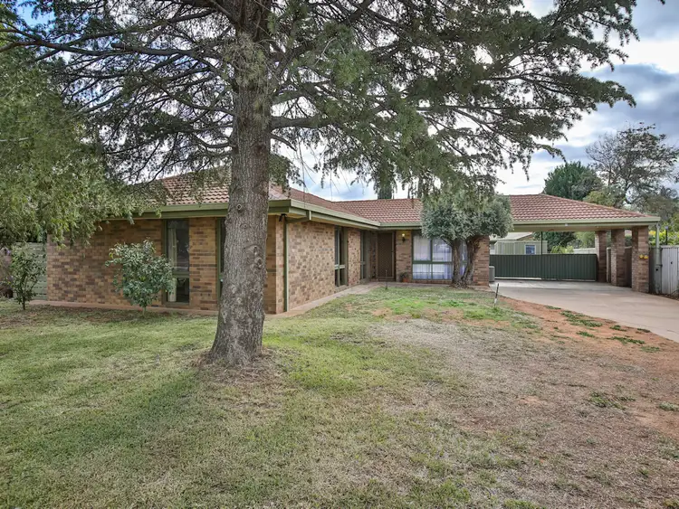 17 Teal Drive, Mildura VIC 3500