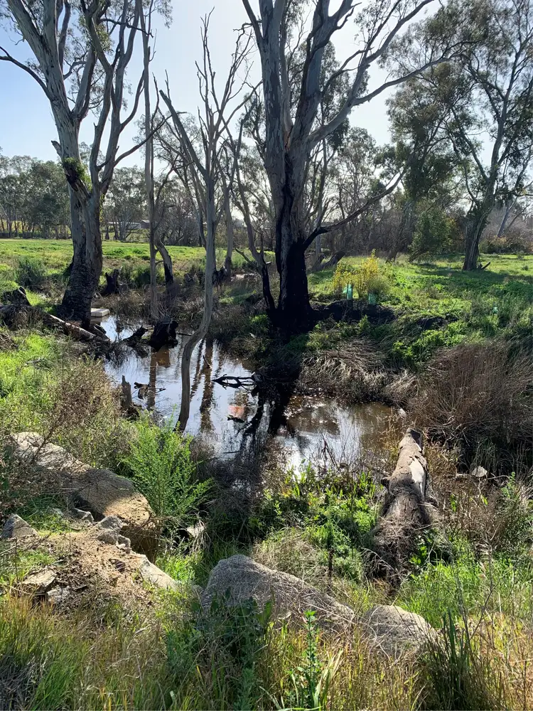 Sixth view of Homely land listing, 20 Molly Drive, Harcourt VIC 3453