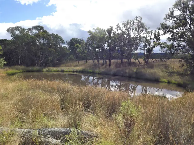 Sixth view of Homely rural property listing, 1281 Gulf Road, Emmaville NSW 2371