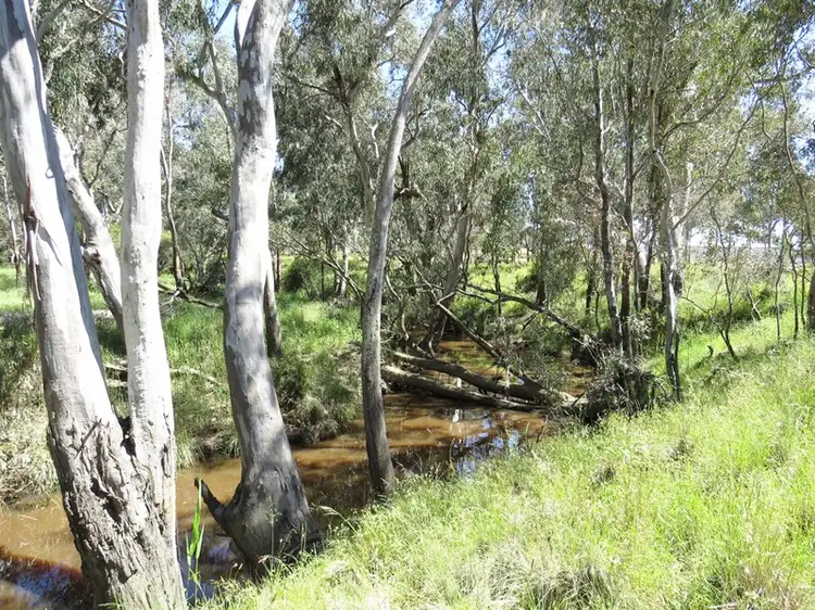 Third view of Homely rural property listing, 1216 SOUTH COSTERFIELD-GRAYTOWN ROAD, Graytown VIC 3608