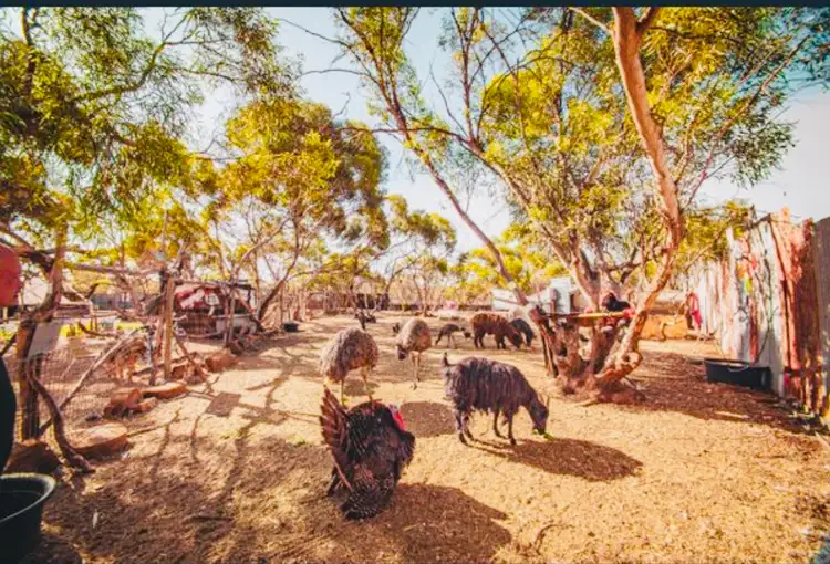 Sixth view of Homely rural property listing, 19042 Sturt Highway, Monash SA 5342