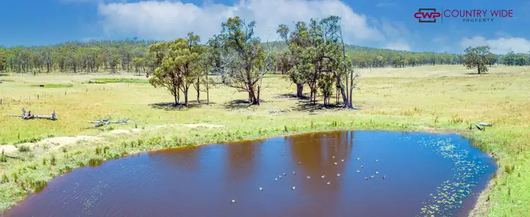 Fourth view of Homely rural property listing, 1632 Torrington Road, Stannum NSW 2371