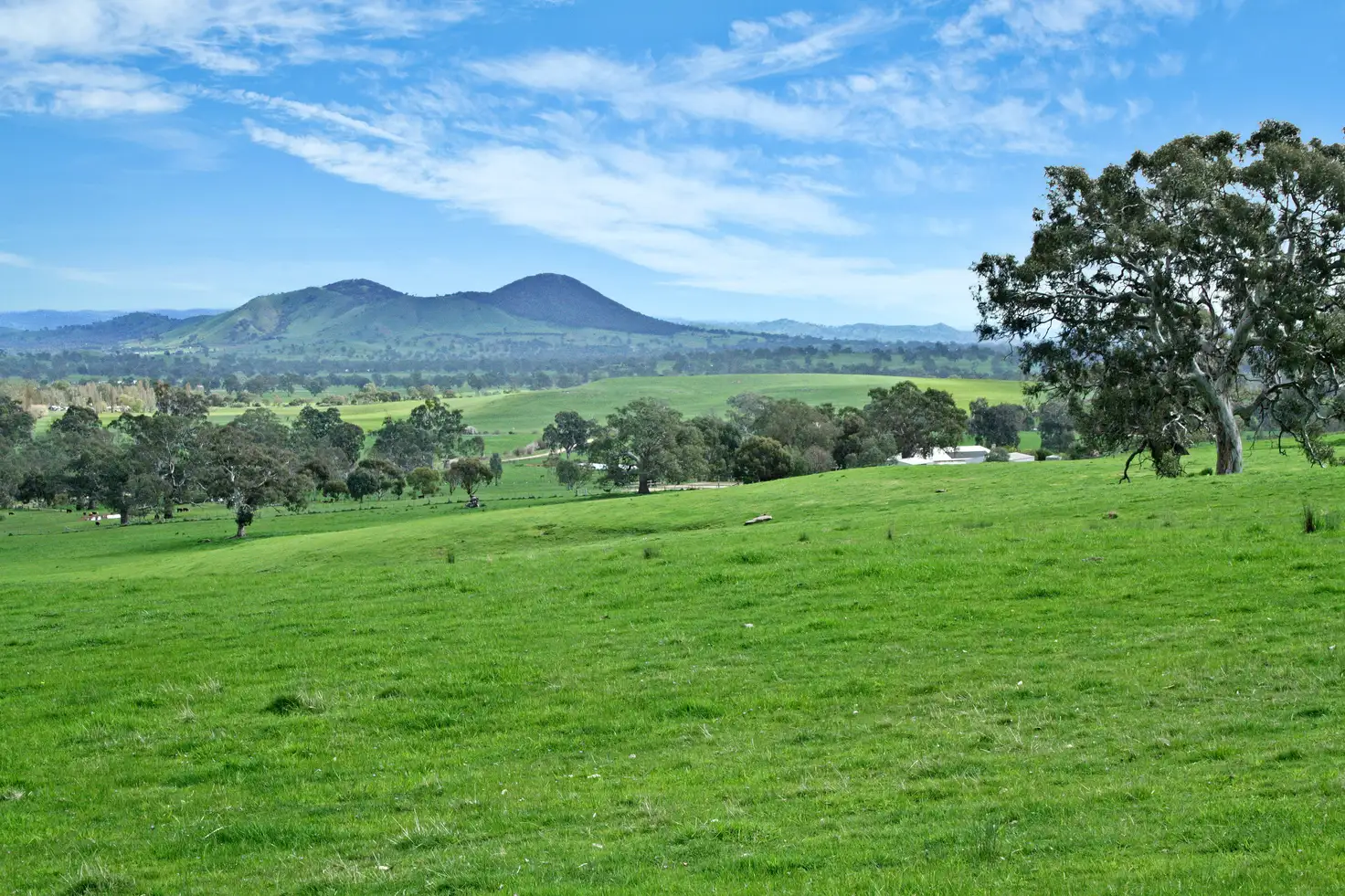 Main view of Homely rural property listing, 161 McLeod Lane, Mansfield VIC 3722