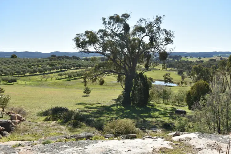 Third view of Homely rural property listing, 131 GREENWATTLE ROAD, Beechworth VIC 3747