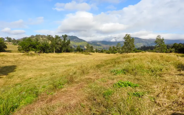 Second view of Homely rural property listing, 779 Kimbriki Road, Kimbriki NSW 2429
