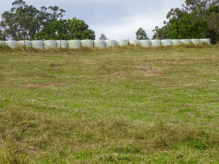 Fifth view of Homely rural property listing, 779 Kimbriki Road, Kimbriki NSW 2429