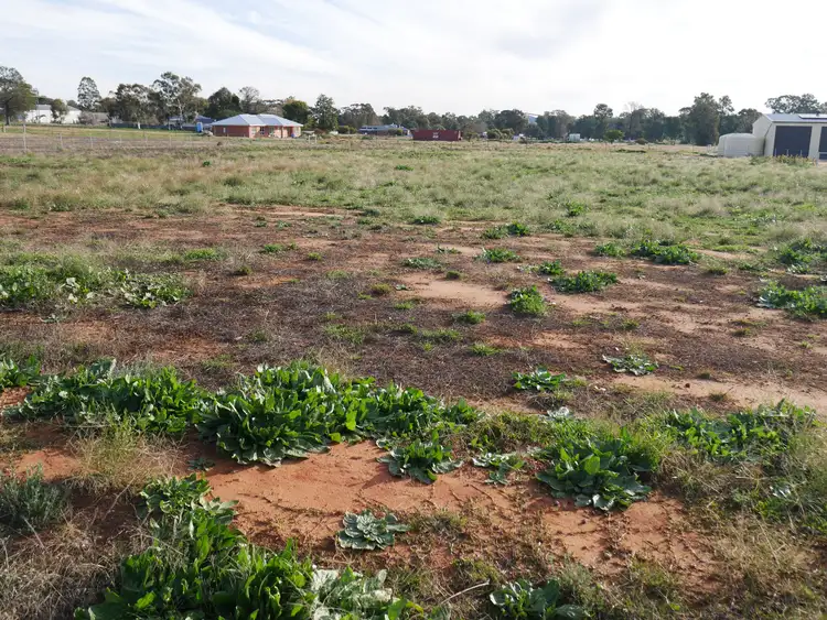 Second view of Homely land listing, 115 Pine Hill Road, Narrandera NSW 2700