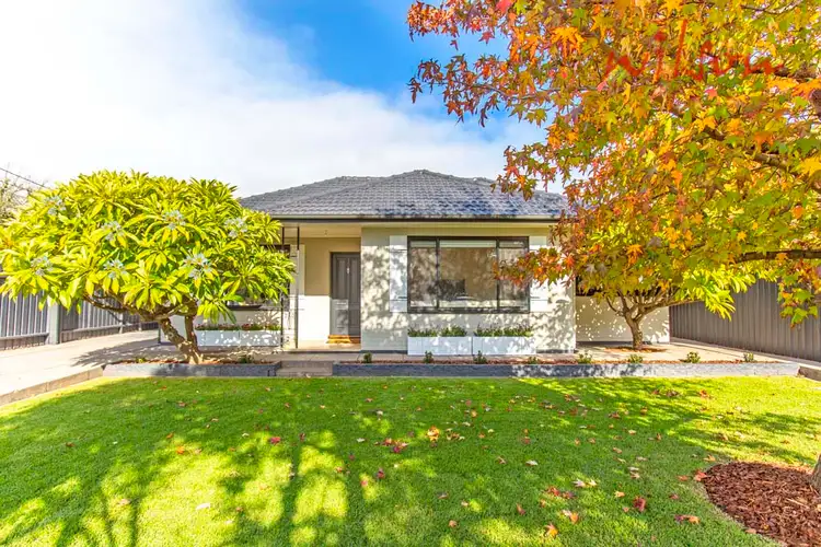 30 Scottish Avenue, Clovelly Park SA 5042