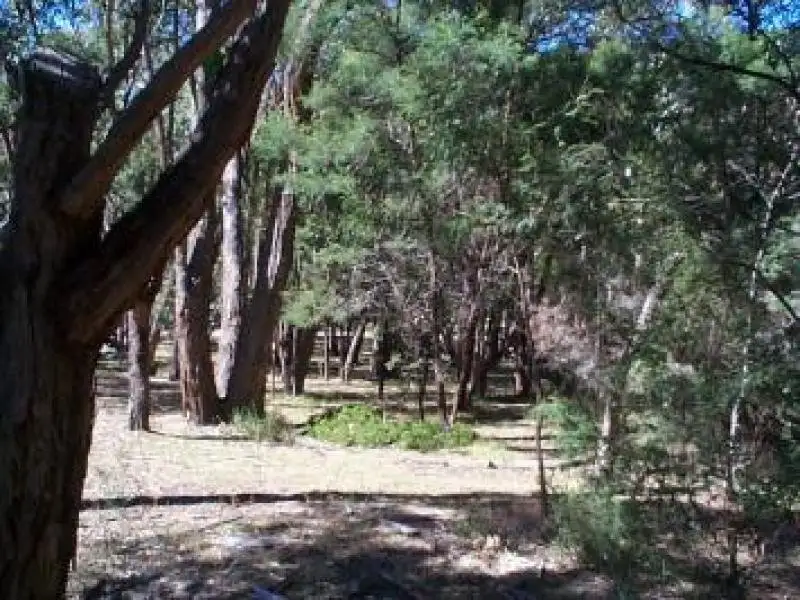 Main view of Homely land listing, 26 High Road, Halls Gap VIC 3381