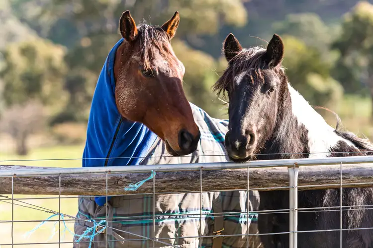 Sixth view of Homely land listing, 18 Donkey Gully Road, Campbells Creek VIC 3451