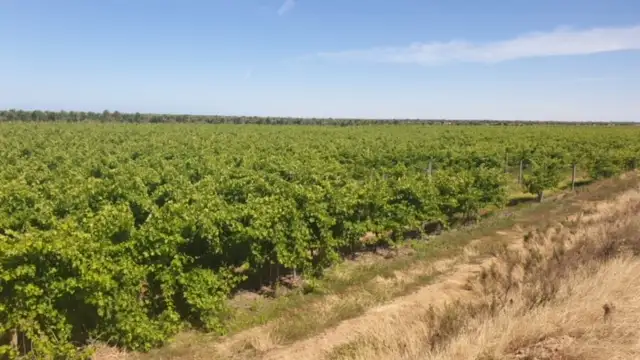 LOT 382, 383 Brownes Road, Two Wells SA 5501