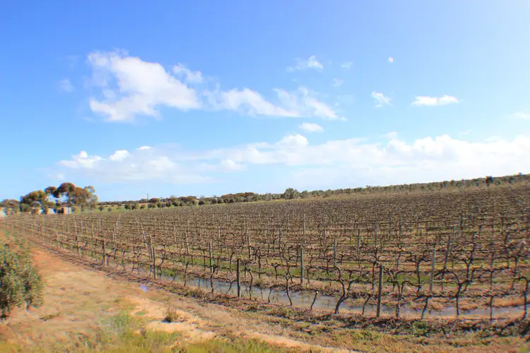 Second view of Homely land listing, LOT 382, 383 Brownes Road, Two Wells SA 5501