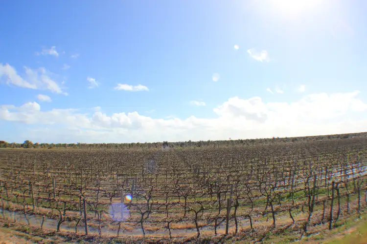 Sixth view of Homely land listing, LOT 382, 383 Brownes Road, Two Wells SA 5501