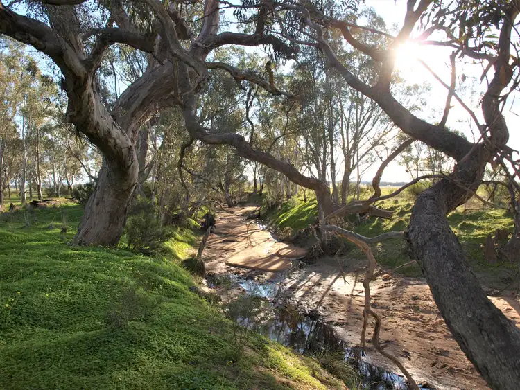 Second view of Homely land listing, LOT 8A, B & C Sloans Road, Powlett Plains VIC 3517