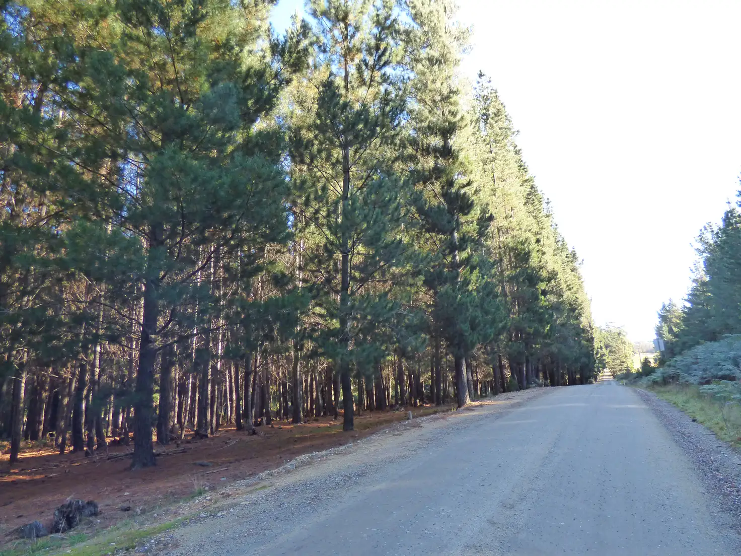 Main view of Homely land listing, 21 Abbington Park Road, Gordon VIC 3345