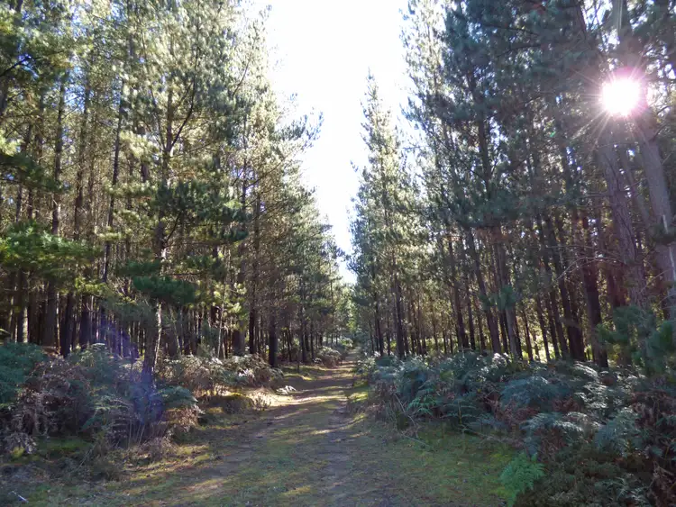 Second view of Homely land listing, 21 Abbington Park Road, Gordon VIC 3345