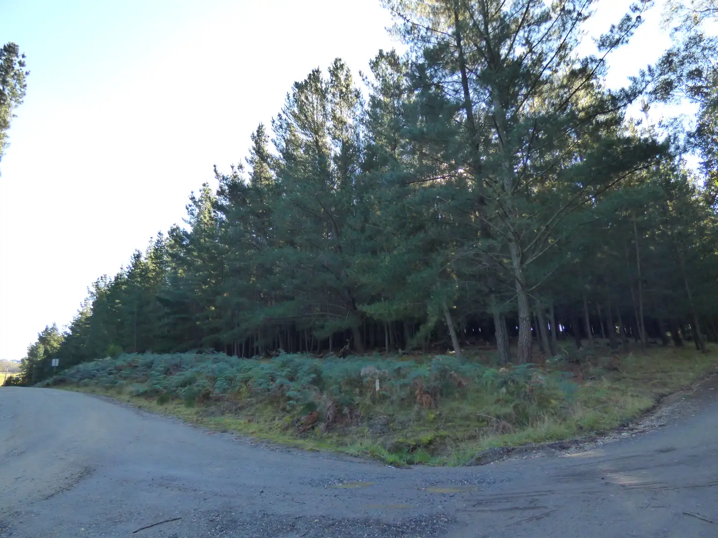 Main view of Homely land listing, 2 Abbington Park Road, Gordon VIC 3345