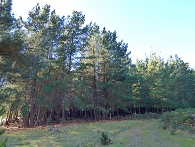 Fourth view of Homely land listing, 2 Abbington Park Road, Gordon VIC 3345