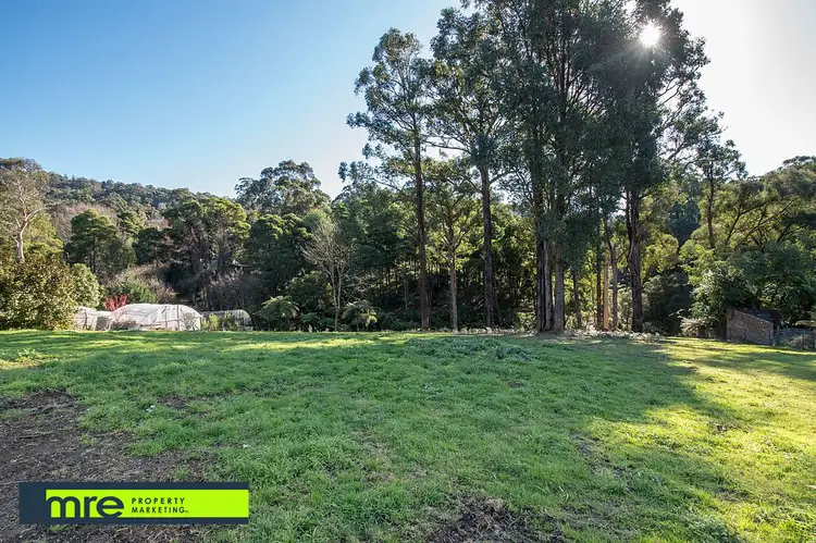 Third view of Homely rural property listing, 99 Main Road, Monbulk VIC 3793