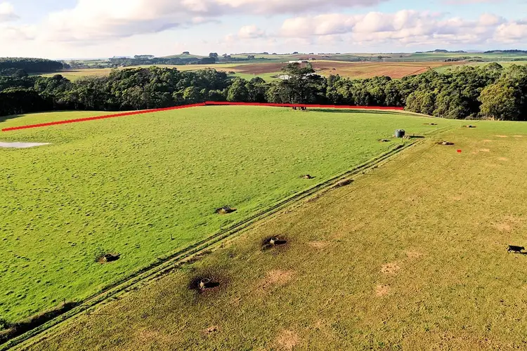 Main view of Homely land listing, 305 Youngs Road, Lileah TAS 7330