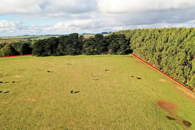 Seventh view of Homely land listing, 305 Youngs Road, Lileah TAS 7330