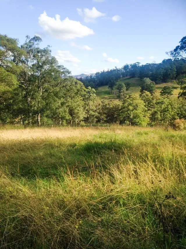 Second view of Homely rural property listing, LOT 3 Norwood Lane, Mount George NSW 2424