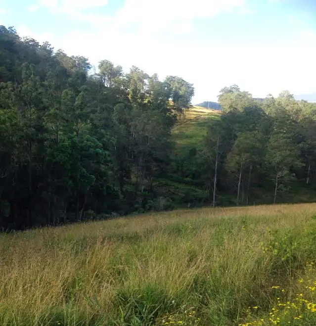 Third view of Homely rural property listing, LOT 3 Norwood Lane, Mount George NSW 2424