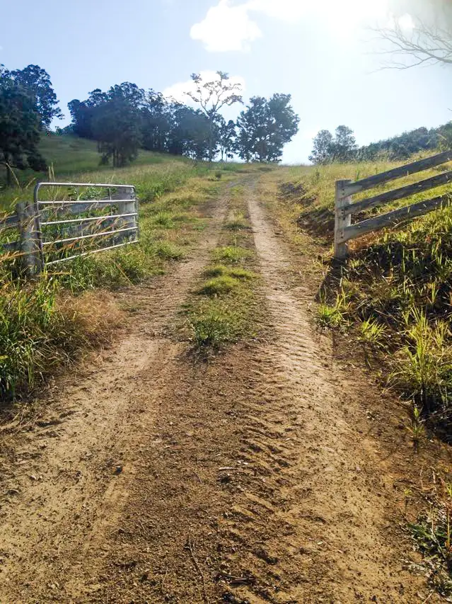Fourth view of Homely rural property listing, LOT 3 Norwood Lane, Mount George NSW 2424