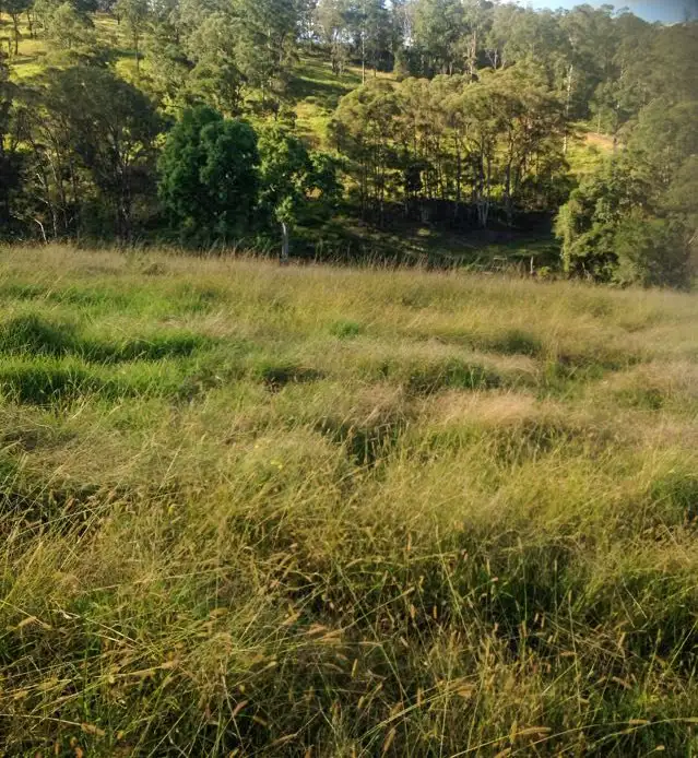 Fifth view of Homely rural property listing, LOT 3 Norwood Lane, Mount George NSW 2424