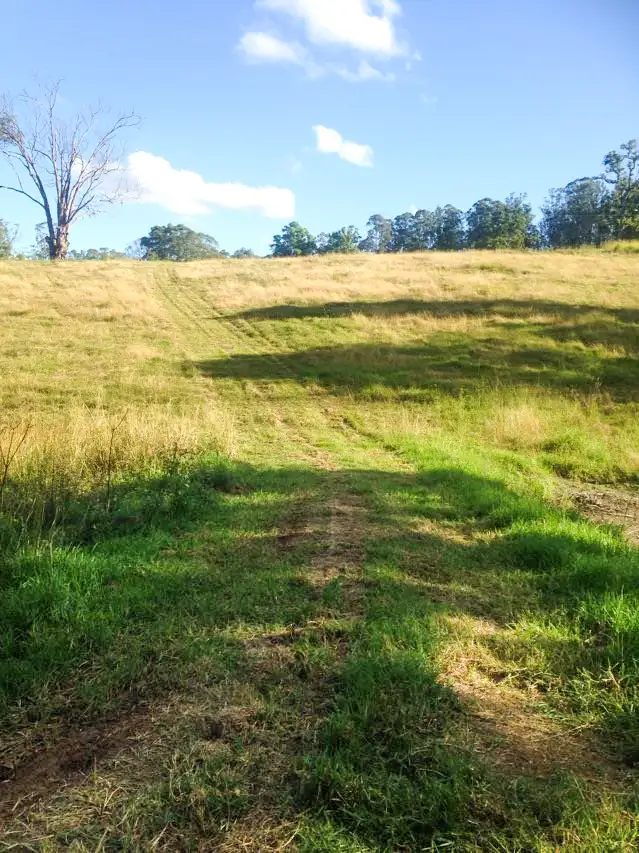 Sixth view of Homely rural property listing, LOT 3 Norwood Lane, Mount George NSW 2424