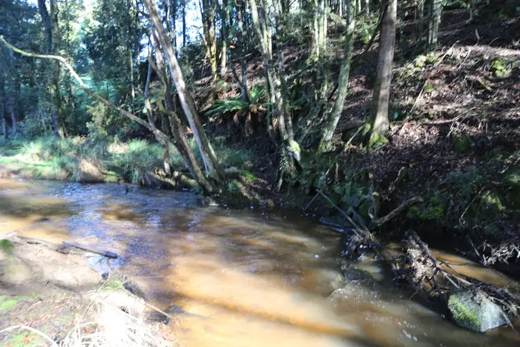 Main view of Homely land listing, 48 Twin Creeks Road, Mengha TAS 7330