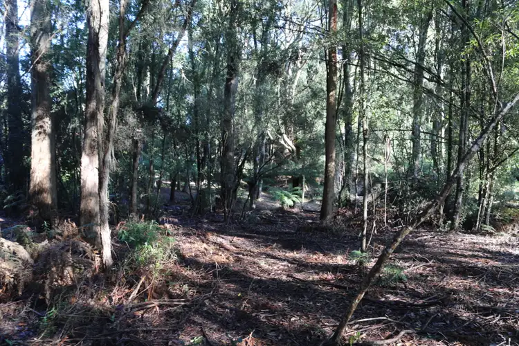 Fifth view of Homely land listing, 48 Twin Creeks Road, Mengha TAS 7330