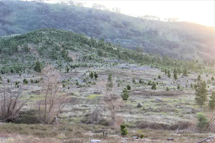 Second view of Homely land listing, LOT 38 B Mitchell Road, Tatong VIC 3673