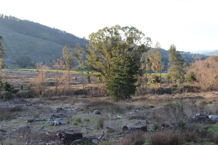 Third view of Homely land listing, LOT 38 B Mitchell Road, Tatong VIC 3673