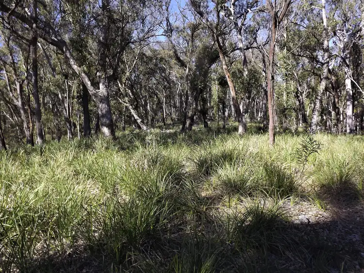 Second view of Homely rural property listing, 1527 New England Highway, Dundee NSW 2370