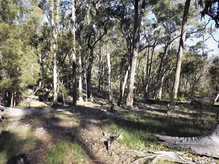 Fourth view of Homely rural property listing, 1527 New England Highway, Dundee NSW 2370